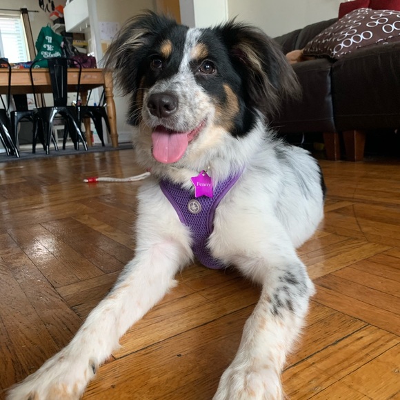 Meet your Posher, Michelle - Picture 3 of 3